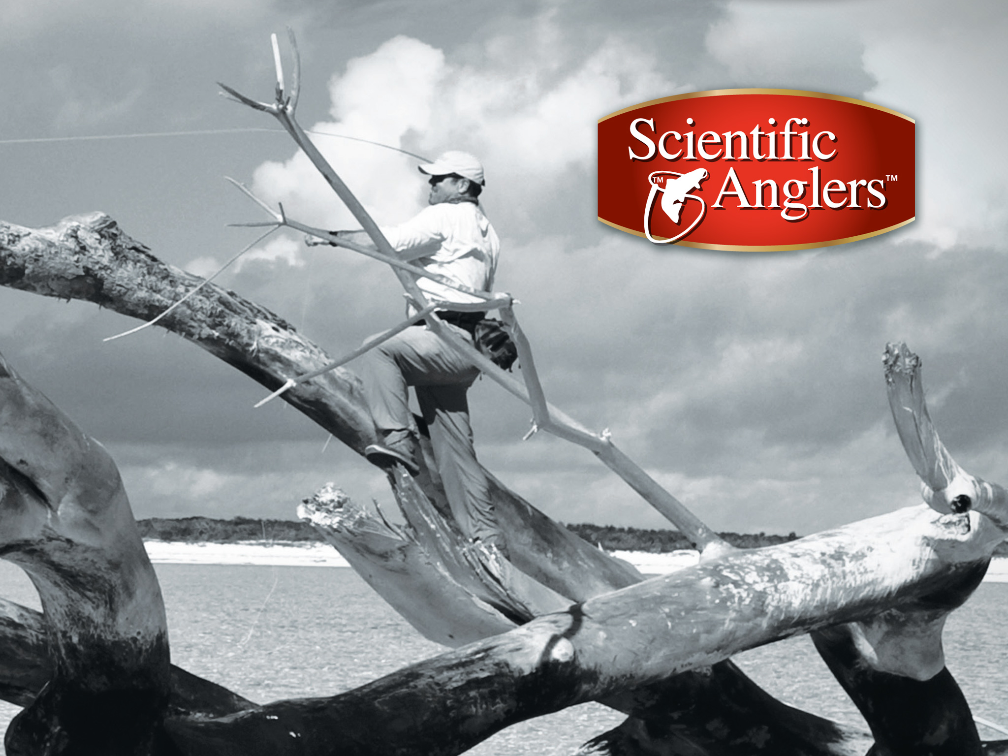 3M Scientific Anglers Sharkskin Ad